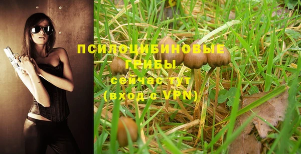MESCALINE Горнозаводск