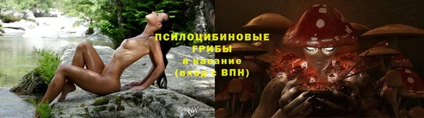 2c-b Горняк