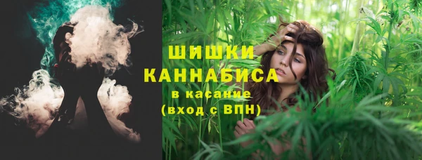 2c-b Горняк