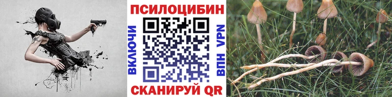 Галлюциногенные грибы Psilocybe  Купить где  Арамиль 